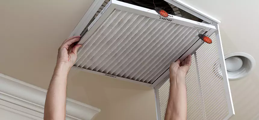 Preventive Cockroach-Proofing for Ducts in Orange