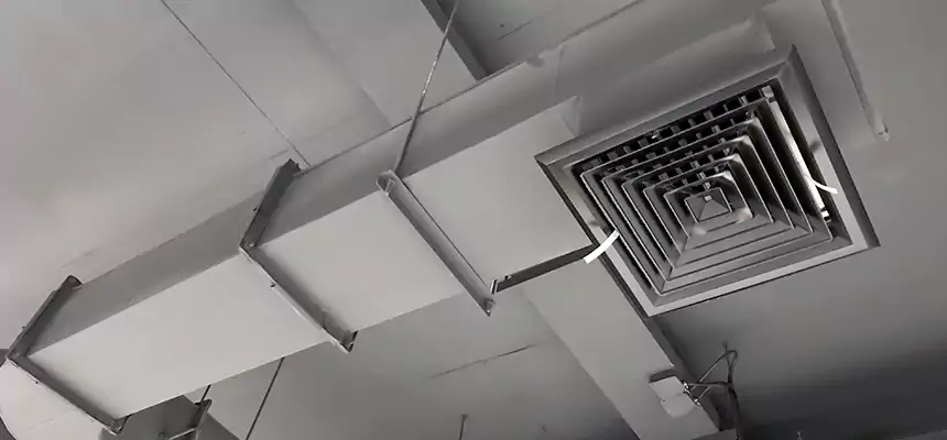 Our Pest Removal From Ducts Services in Orange, TX