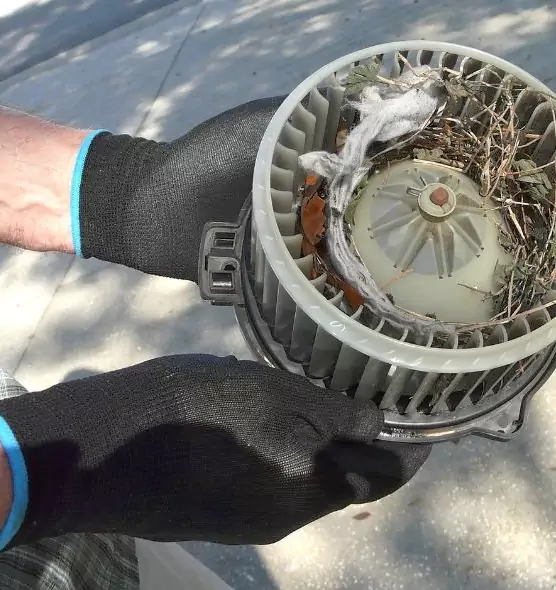 About Air Duct Mice Removal in Orange, TX