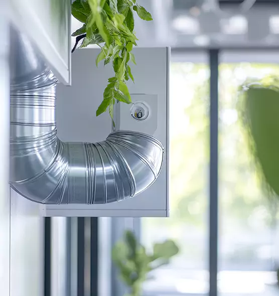 Professional Eco-Safe Dryer Vent Cleaning in Orange, TX