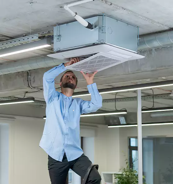 Advanced Rodent Droppings In Vents in Orange, TX