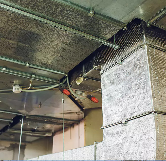 Why Homeowners & Businesses Trust Us Orange, TX?